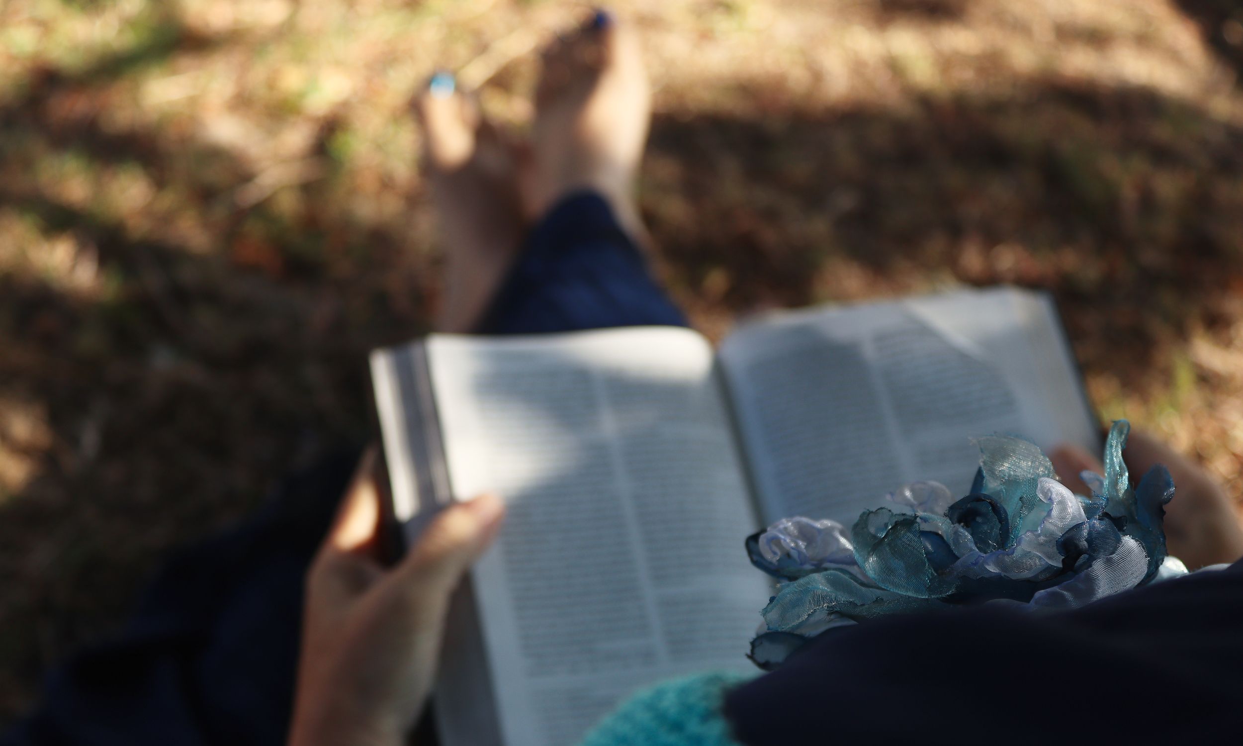 woman reading Bible as image for peace promises collective subscribe page